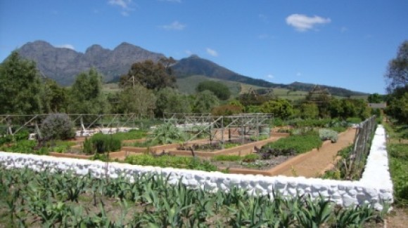 The garden at Babylonstoren, Cape Town – worth a visit!