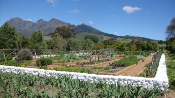 Gli orti di Babylonstoren, Cape Town – un posto da non perdere!