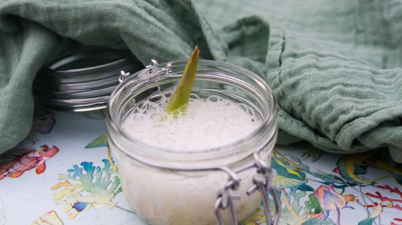 Aloe vera , tu aliado para estar bella. Aloe vera , tu aliado para estar bella.