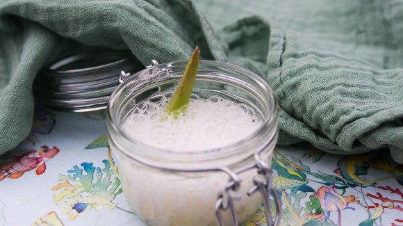 Aloe vera , tu aliado para estar bella. 