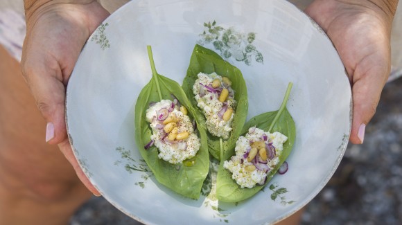 Aperitivo de Albahaca y requesón