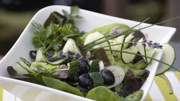 Salanova® Kopfsalat mit Oliven