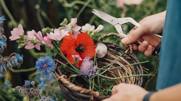 Eetbare bloemen, een overzicht voor in je (moes)tuin