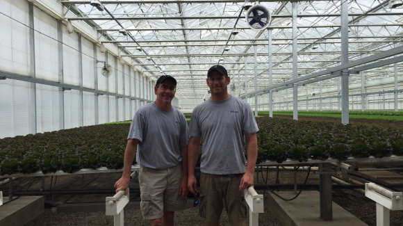Great Lakes Grower, Tim Ryan shares his hydroponic farming story