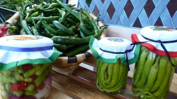 Guindillas en conserva, para aliños, aperitivos y ensaladas