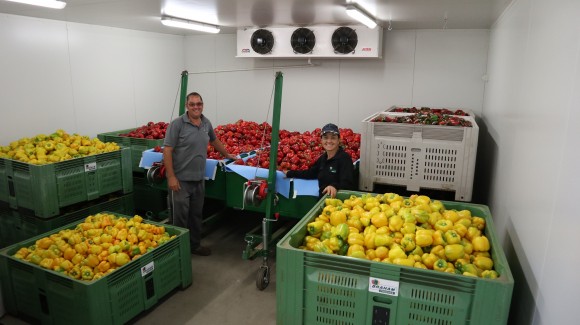 Meet the grower: Braham Produce