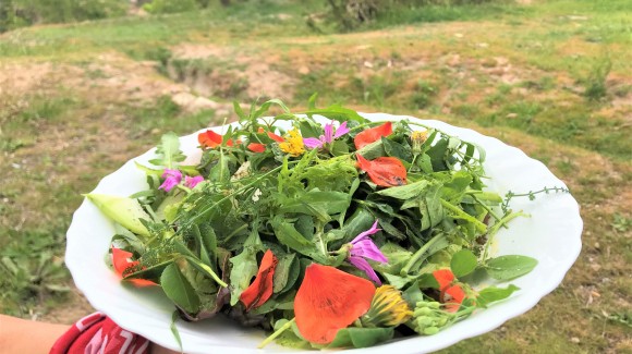 Ensalada buenas malas hierbas