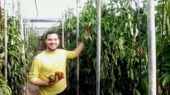 La agricultura en Almería, la huerta de Europa