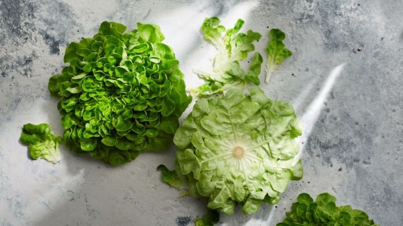 Enjoy fresh lettuce for longer - the best way to store lettuce