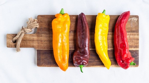 Capsicum – your traffic light delight