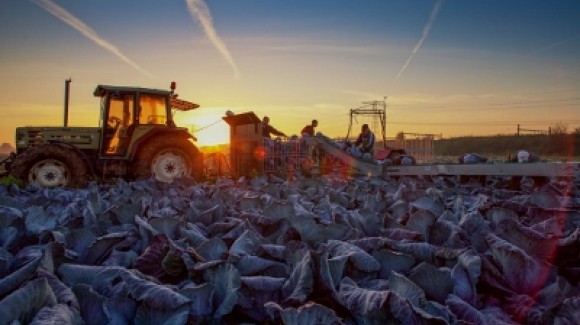 Goed bezig! NL boeren en tuinders laagste milieu-impact ter wereld