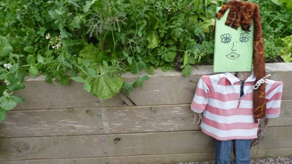 Do you have a scarecrow in your garden?