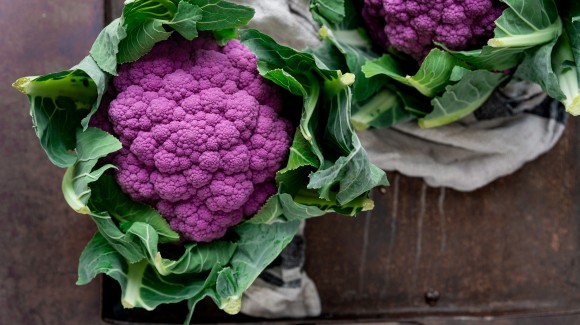 Boost je microbioom: plantaardige voeding in de spotlight!