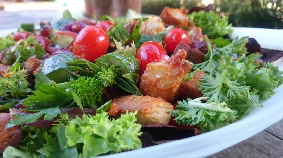 Panzanella with Salanova lettuce