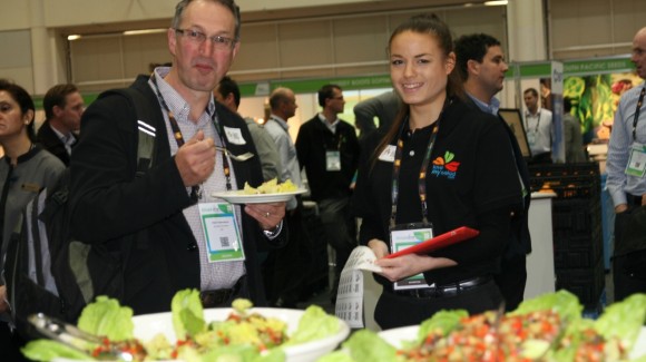 Salads on the menu in Sydney