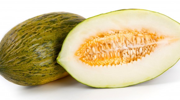 What is a Piel de Sapo melon?