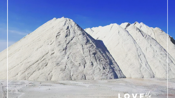 Viaggiando in Italia tra colture e culture: la melanzana striata in Emilia Romagna, terra fertile, patria del famoso “Sale di Cervia”