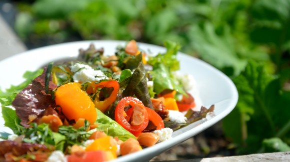 Summer mango and macadamia salad