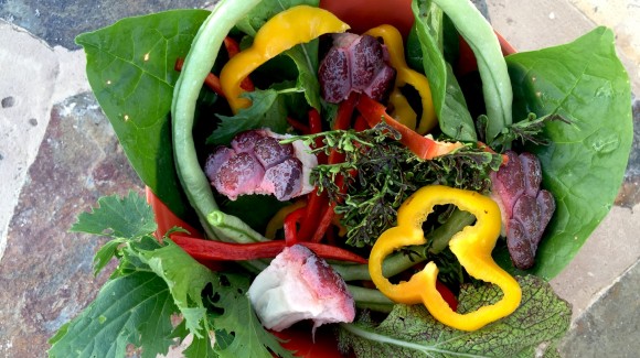 Custard apple or 'sweetsop' salad