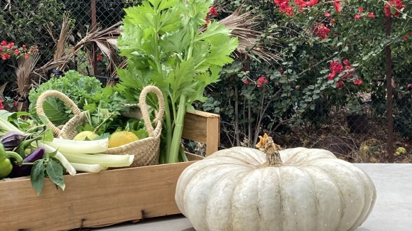 Tiempo de calabazas