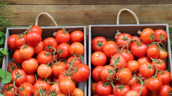 7 reasons to love truss tomatoes