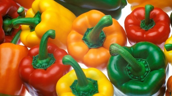 Colourful capsicums are sweet and delicious