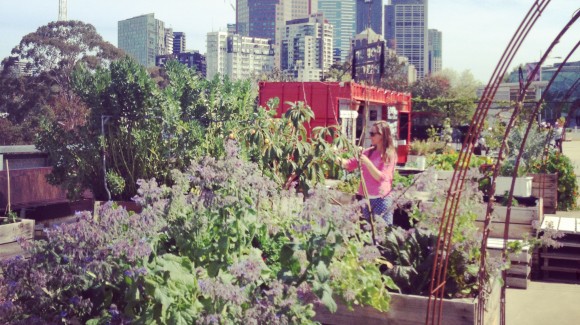 Sky gardens lift health and liveability to sustainable heights