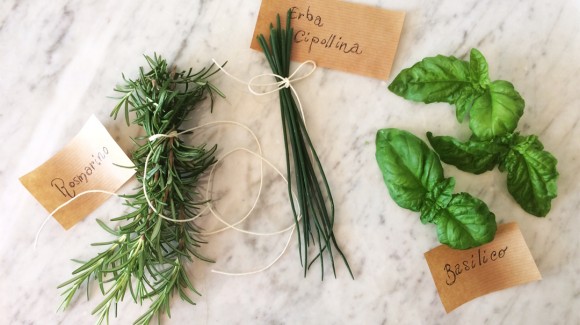 How to preserve fresh herbs? 