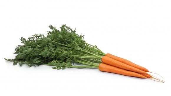 Carrots