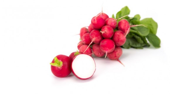 Radish